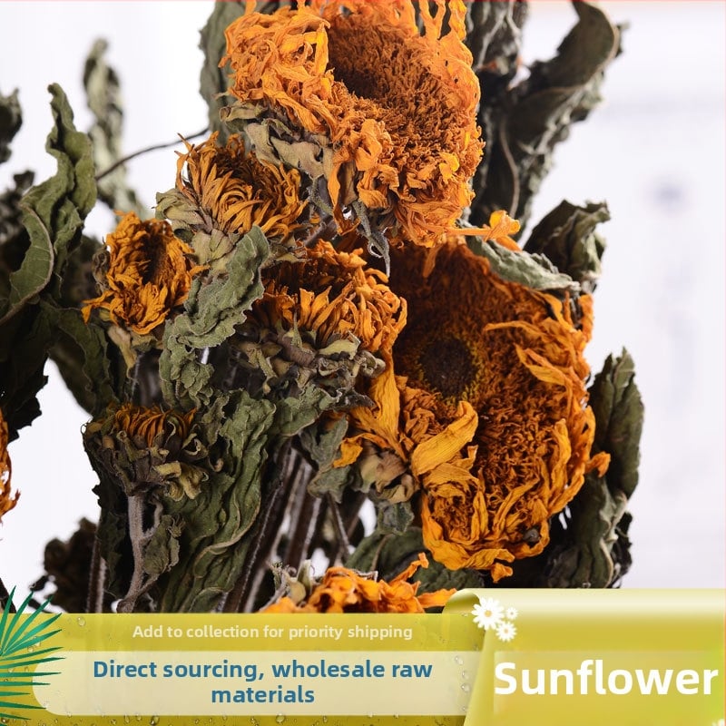 Napraforgó szárított virágok - színezés nélkül, szárított levélerek, csokorhoz, karton csomagolás