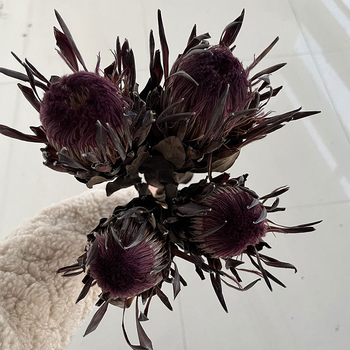 Szárított virágokból álló csokor – erezetes szárított virágok, festék nélküli; fajták 3858309, 4219811; márka Qian ying; csomagolás papírdoboz