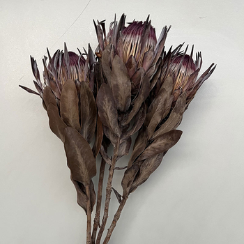 Szárított virágokból álló csokor – erezetes szárított virágok, festék nélküli; fajták 3858309, 4219811; márka Qian ying; csomagolás papírdoboz