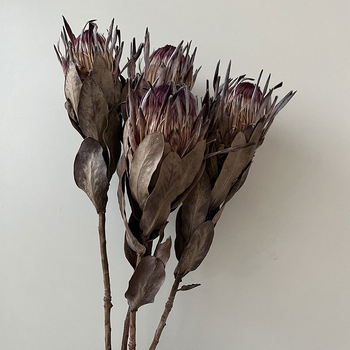 Szárított virágokból álló csokor – erezetes szárított virágok, festék nélküli; fajták 3858309, 4219811; márka Qian ying; csomagolás papírdoboz