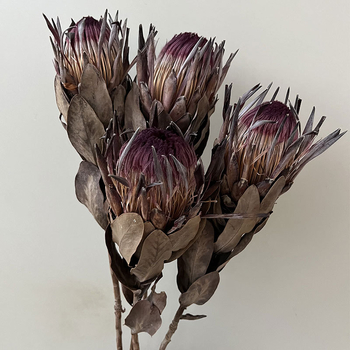 Szárított virágokból álló csokor – erezetes szárított virágok, festék nélküli; fajták 3858309, 4219811; márka Qian ying; csomagolás papírdoboz