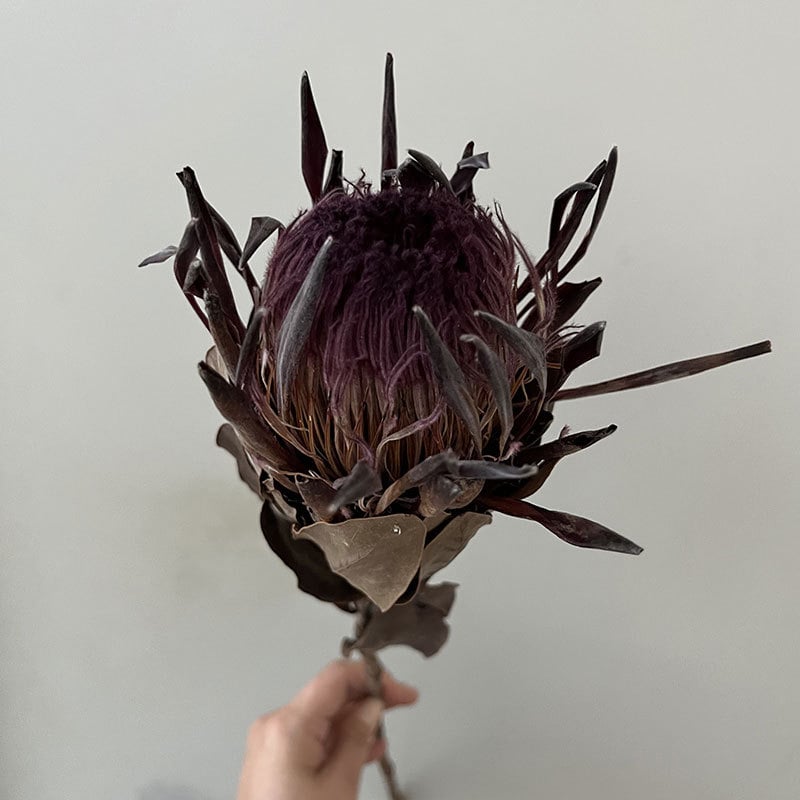 Szárított virágokból álló csokor – erezetes szárított virágok, festék nélküli; fajták 3858309, 4219811; márka Qian ying; csomagolás papírdoboz