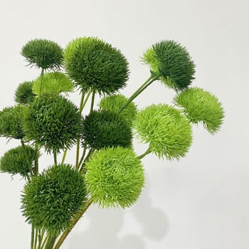 Mű zöld szegfű pom-pom stílusú, puha PVC, készítés: formázás, injektálás, öntés; esküvők, szabadtéri helyszínek, fotózás kellékei, otthoni díszítés