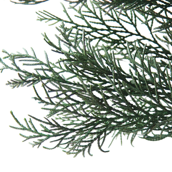 Ramuri veșnic verzi de pin și chiparos – material de decor pentru bradul de Crăciun, flori uscate pentru aranjamente DIY, ghirlande și accesorii pentru bonsai | Brand: Dreamer quality dried flowers | Ambalare: pungă de bumbac cu cutie specială