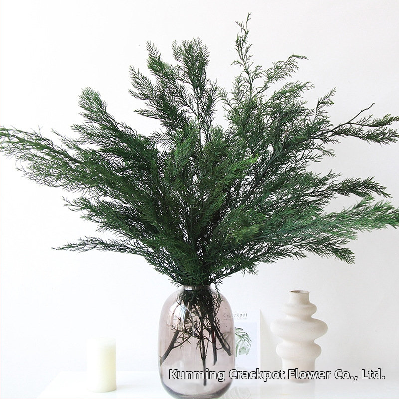 Ramuri veșnic verzi de pin și chiparos – material de decor pentru bradul de Crăciun, flori uscate pentru aranjamente DIY, ghirlande și accesorii pentru bonsai | Brand: Dreamer quality dried flowers | Ambalare: pungă de bumbac cu cutie specială