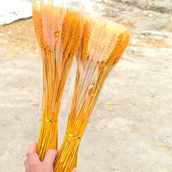 Buchet din ramuri uscate cu urechi de grâu — Tip: Ramuri; Clasificare: Flori uscate; Importat: Nu; Varietate: Consultație; Vopsit: Da