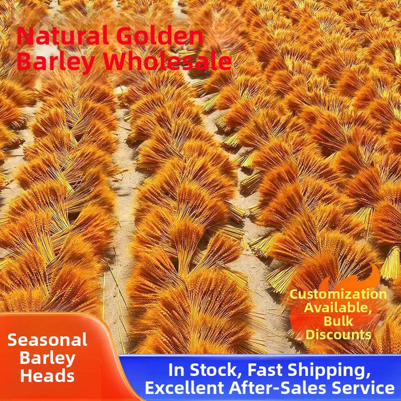 Buchet din ramuri uscate cu urechi de grâu — Tip: Ramuri; Clasificare: Flori uscate; Importat: Nu; Varietate: Consultație; Vopsit: Da