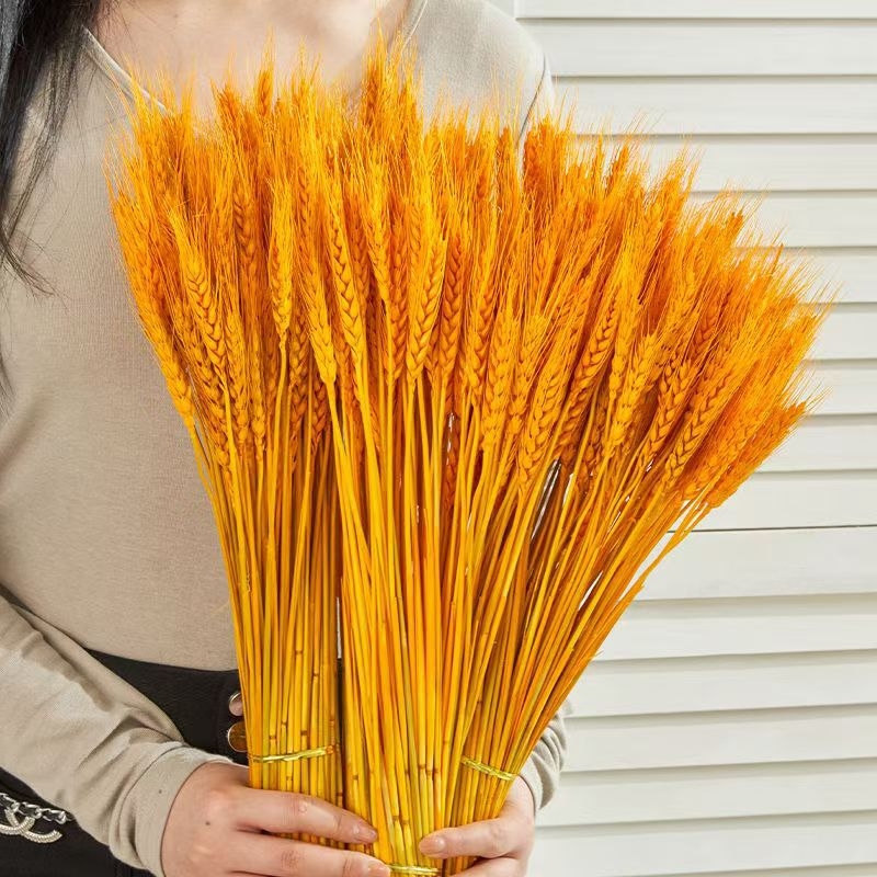 Buchet din ramuri uscate cu urechi de grâu — Tip: Ramuri; Clasificare: Flori uscate; Importat: Nu; Varietate: Consultație; Vopsit: Da