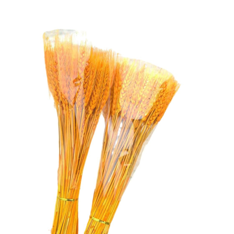 Buchet din ramuri uscate cu urechi de grâu — Tip: Ramuri; Clasificare: Flori uscate; Importat: Nu; Varietate: Consultație; Vopsit: Da