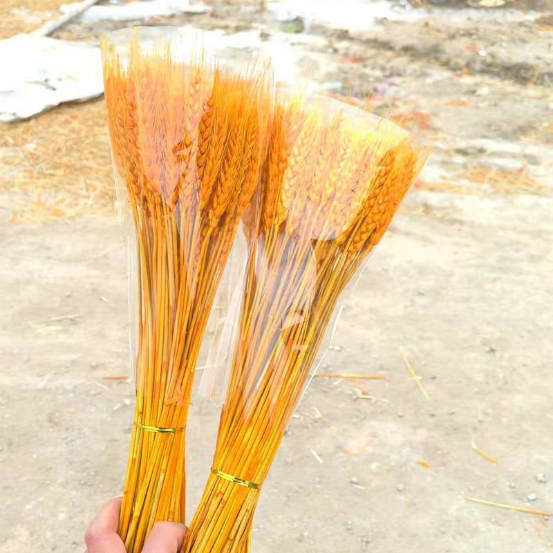 Buchet din ramuri uscate cu urechi de grâu — Tip: Ramuri; Clasificare: Flori uscate; Importat: Nu; Varietate: Consultație; Vopsit: Da