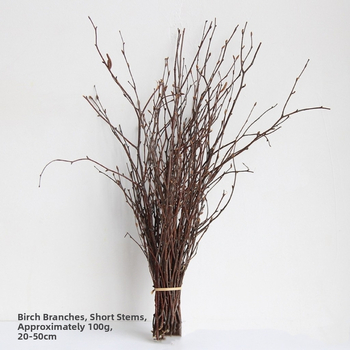 Ramuri uscate naturale pentru decor interior și recuzită fotografică – Dreamer