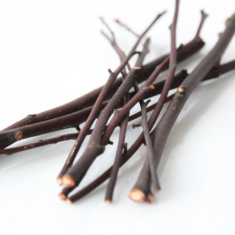 Ramuri uscate naturale pentru decor interior și recuzită fotografică – Dreamer