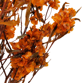 Decor floral uscat pentru sufragerie festivă; Brand: Flowers Wuxin Flowers; Material: flori uscate; Proces: 23518602962; Ambalare: pungă OPP transparentă