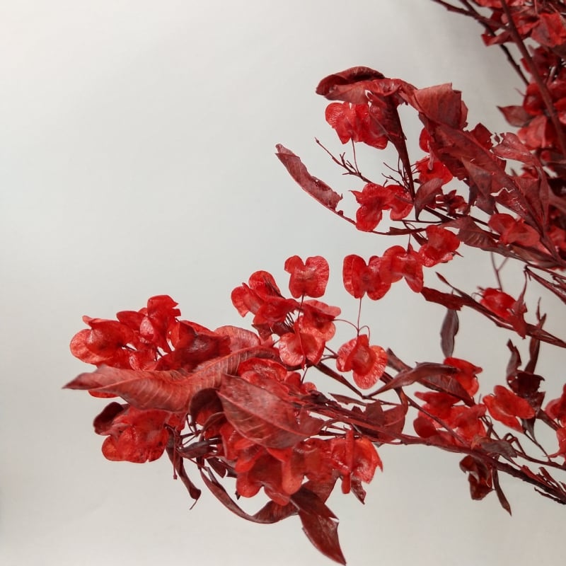 Decor floral uscat pentru sufragerie festivă; Brand: Flowers Wuxin Flowers; Material: flori uscate; Proces: 23518602962; Ambalare: pungă OPP transparentă