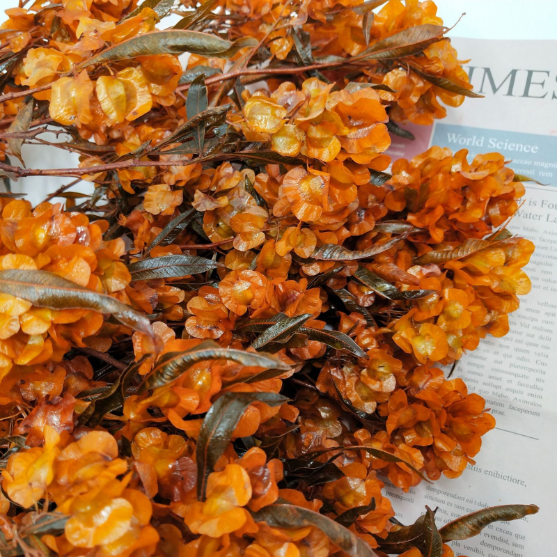 Decor floral uscat pentru sufragerie festivă; Brand: Flowers Wuxin Flowers; Material: flori uscate; Proces: 23518602962; Ambalare: pungă OPP transparentă