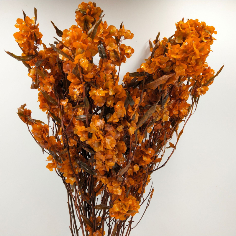 Decor floral uscat pentru sufragerie festivă; Brand: Flowers Wuxin Flowers; Material: flori uscate; Proces: 23518602962; Ambalare: pungă OPP transparentă