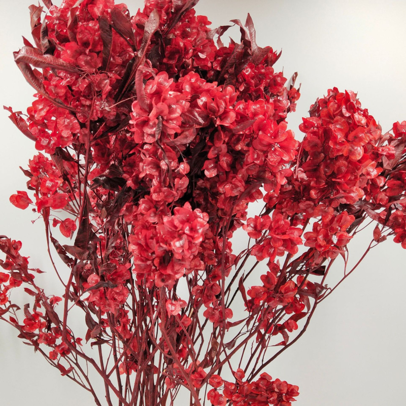 Decor floral uscat pentru sufragerie festivă; Brand: Flowers Wuxin Flowers; Material: flori uscate; Proces: 23518602962; Ambalare: pungă OPP transparentă