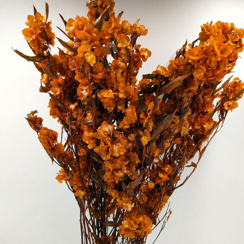 Decor floral uscat pentru sufragerie festivă; Brand: Flowers Wuxin Flowers; Material: flori uscate; Proces: 23518602962; Ambalare: pungă OPP transparentă