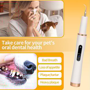 Curățător ultrasonic pentru dinți de câine – îndepărtare calcul dentar / tartru, instrument igienă orală, plastic, cutie cu 100 bucăți