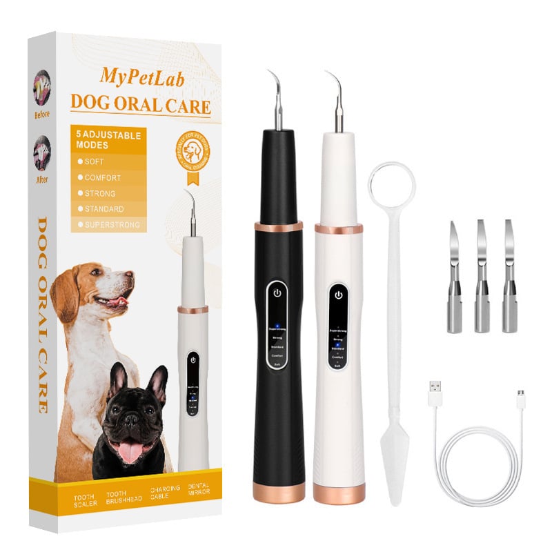 Curățător ultrasonic pentru dinți de câine – îndepărtare calcul dentar / tartru, instrument igienă orală, plastic, cutie cu 100 bucăți