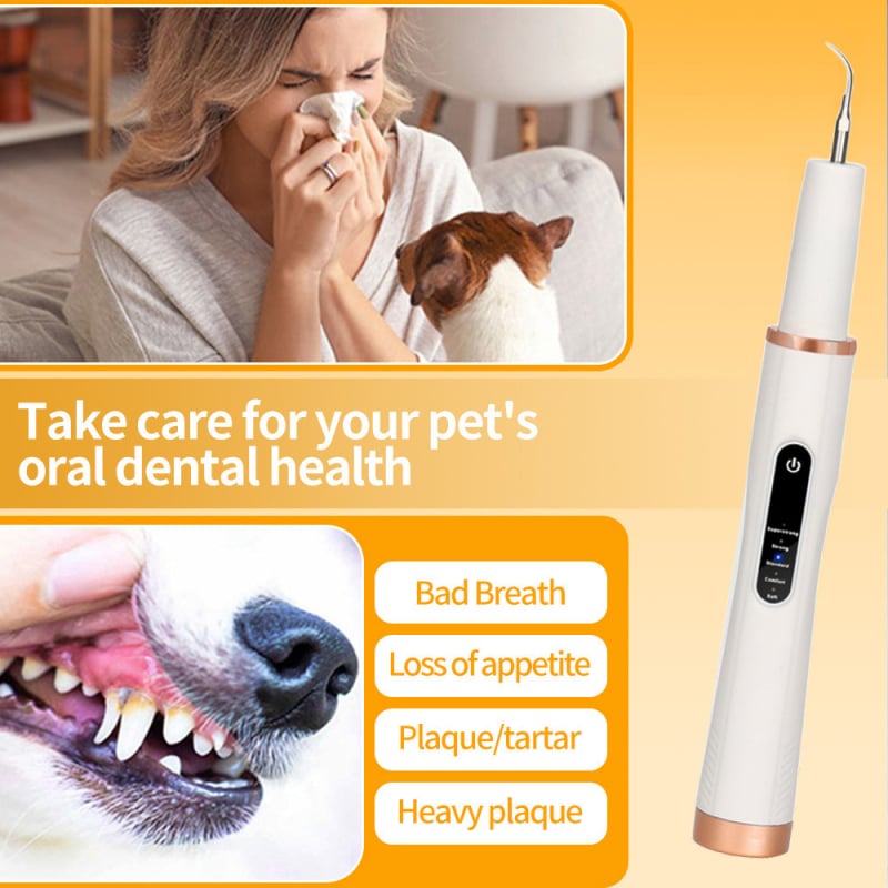 Curățător ultrasonic pentru dinți de câine – îndepărtare calcul dentar / tartru, instrument igienă orală, plastic, cutie cu 100 bucăți