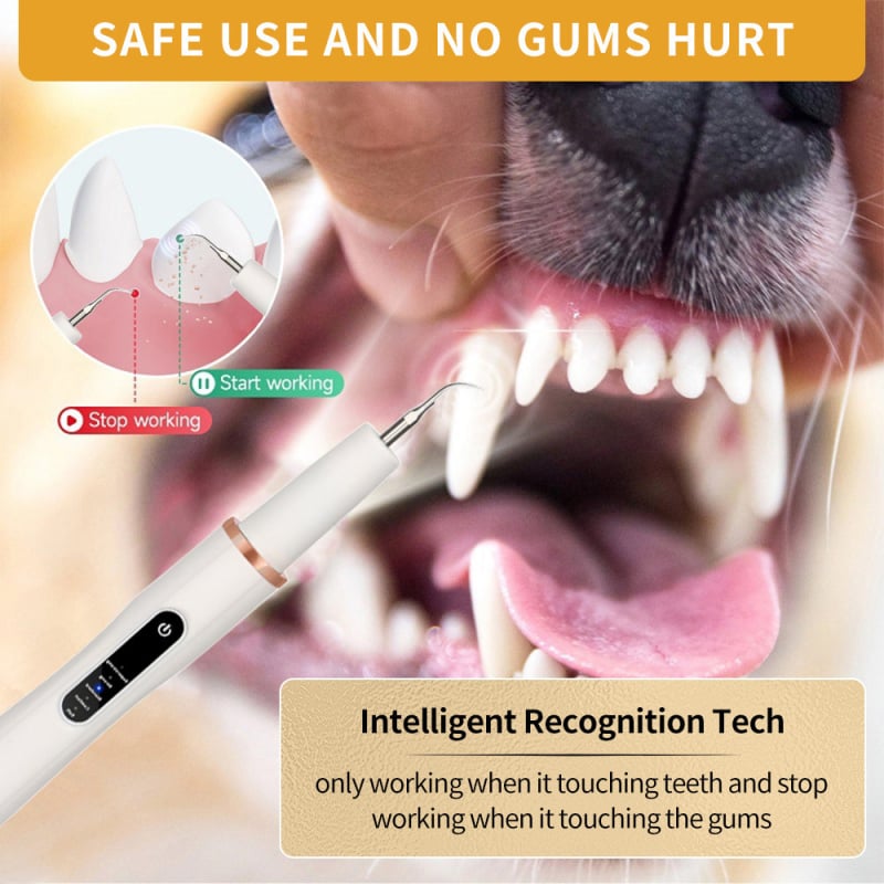 Curățător ultrasonic pentru dinți de câine – îndepărtare calcul dentar / tartru, instrument igienă orală, plastic, cutie cu 100 bucăți