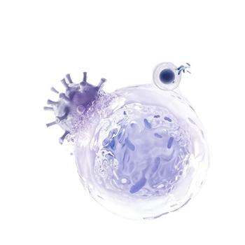 Φροντίδα τριχώματος για γάτες — σπρέι, μάρκα: Άλλη, μη εισαγόμενο