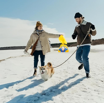 Σακουλάκια αποβλήτων σκύλων, ρολό συνεχούς χρήσης, βιοδιασπώμενο υλικό PLA+PBAT, κανονικό πάχος, μάρκα Fushun