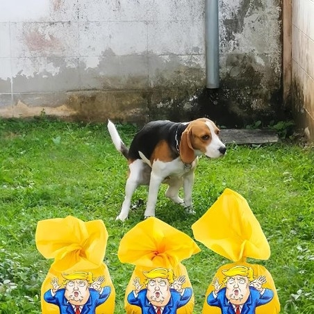 Σακουλάκια αποβλήτων σκύλων, ρολό συνεχούς χρήσης, βιοδιασπώμενο υλικό PLA+PBAT, κανονικό πάχος, μάρκα Fushun