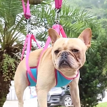 Dzīvnieku kopšanas hamaks — Poliesteris, Zīmols: Cits, Nav importa