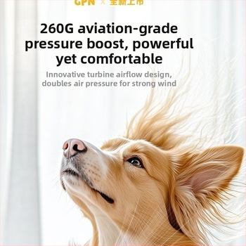 Gudrs mājdzīvnieku matu fēns kaķēm — mājas lietošanai, jauda līdz 1000W, spriegums ≤36V