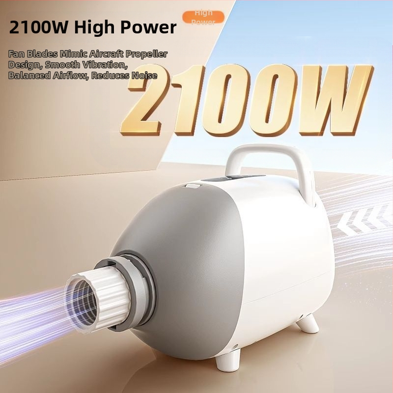 Gudrs mājdzīvnieku matu fēns kaķēm — mājas lietošanai, jauda līdz 1000W, spriegums ≤36V