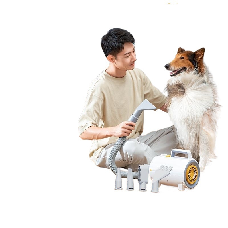 Uscător pentru animale de companie – zgomot redus, uscare rapidă, ioni negativi, 220V, sub 1000W