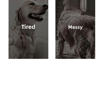 Viskas viename: gyvūnų plaukų džiovintuvas su šepetėliu – greitas džiovinimas šunims ir katėms, 2000W+, ≤36V, universalus naudojimas