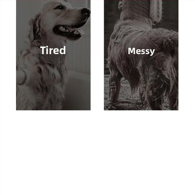 Viskas viename: gyvūnų plaukų džiovintuvas su šepetėliu – greitas džiovinimas šunims ir katėms, 2000W+, ≤36V, universalus naudojimas