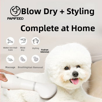 Viskas viename plaukų džiovintuvas augintiniams – šunims ir katėms, iki 1000W, 220V, namų naudojimui