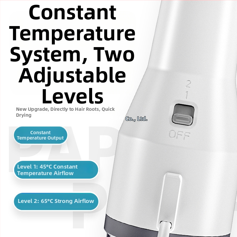 Viskas viename plaukų džiovintuvas augintiniams – šunims ir katėms, iki 1000W, 220V, namų naudojimui