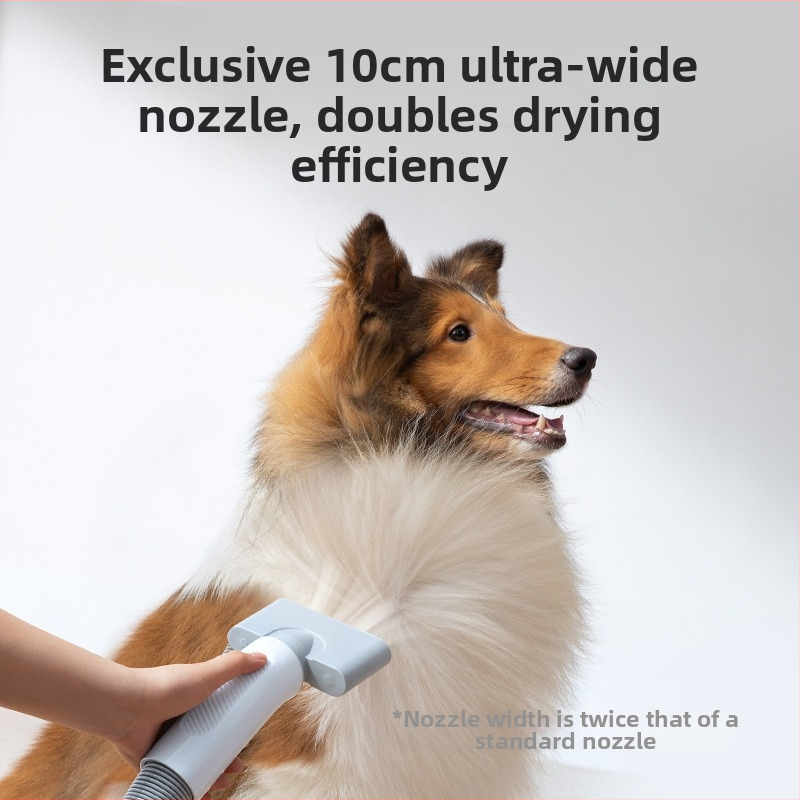 Viso vieno gyvūnų plaukų džiovintuvas su įmontuota šukele – Pd10 Hörmann Water Blower, 2000W+, DC variklis, 220V
