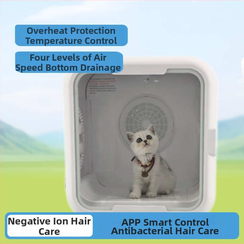 Automātiska žāvēšanas kastīte mājdzīvniekiem kaķiem ar UV sterilizāciju, klusums, vadība ar lietotni (Modeļa LQ-HG100; 1000–1199W; 220V; Kaķiem; UV sterilizācija + negatīvā jonizācija matos)