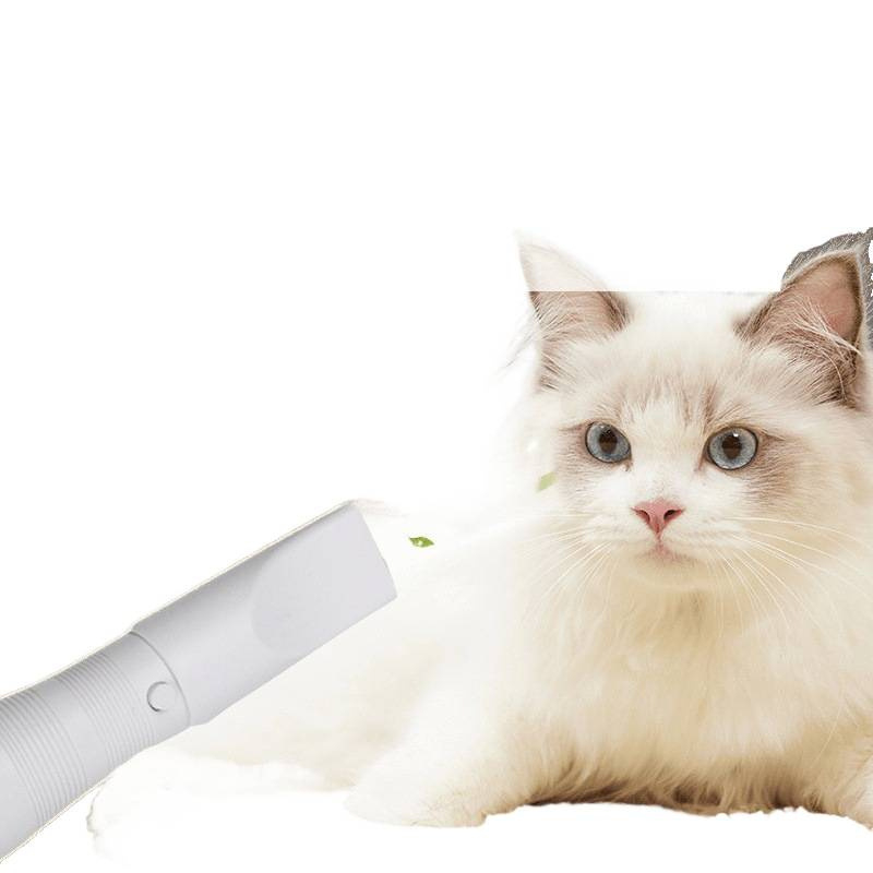 Suņu un kaķu apmatojuma žāvētājs un kopšanas rīks, Boom tips, 2000W+, pārkaršanas aizsardzība, universāla saderība