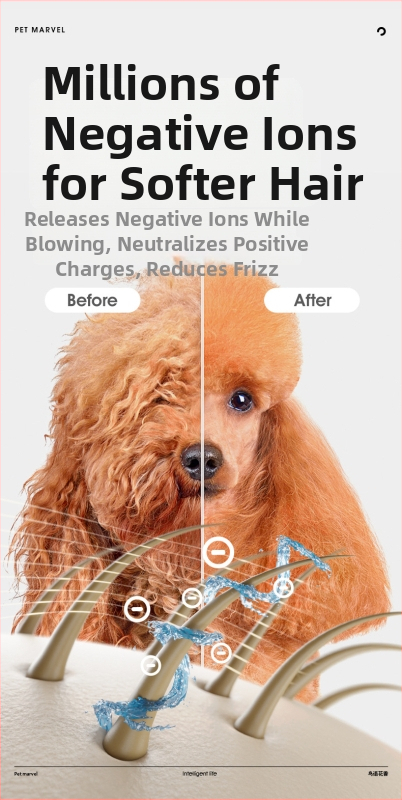 Naminių gyvūnų plaukų priežiūros džiovintuvas – viskas viename katėms ir šunims, modelis Ono H1, mažiau nei 1000W, AC variklis, spiralinis kaitinimo laidininkas, 220V