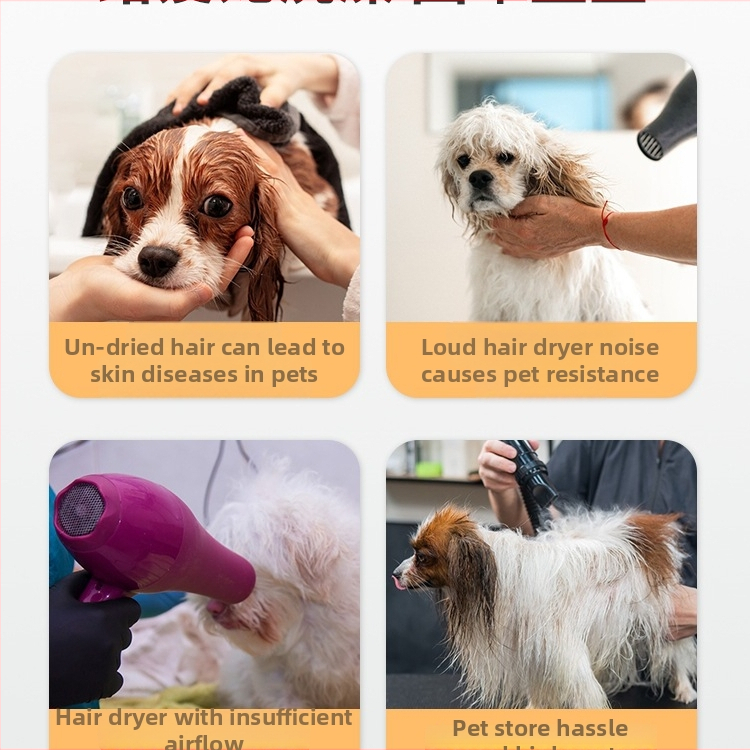 Namų naudojimui skirtas gyvūnų plaukų džiovintuvas katėms ir šunims, modelis 985, 220V, mažiau nei 1000W