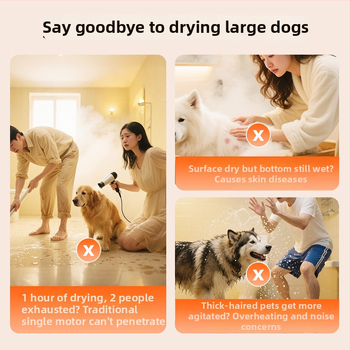 Keturių ratų be šepetėlių vandens pūstuvas PD-8900, 2000W+, 220V