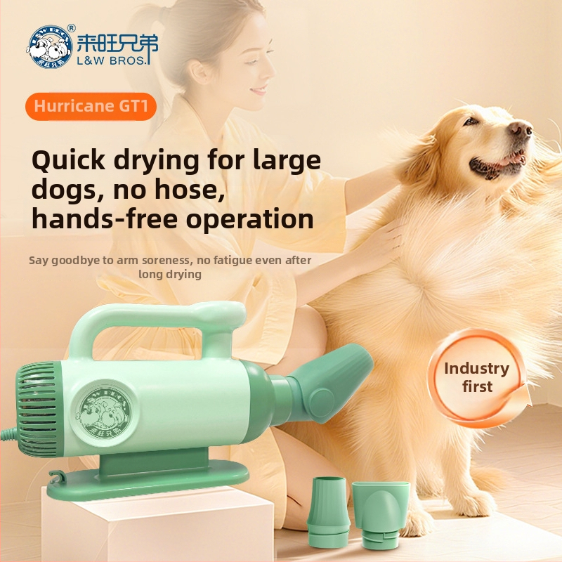 Keturių ratų be šepetėlių vandens pūstuvas PD-8900, 2000W+, 220V