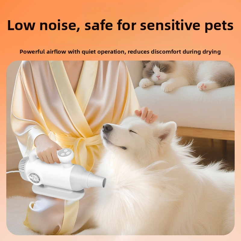 Keturių ratų be šepetėlių vandens pūstuvas PD-8900, 2000W+, 220V