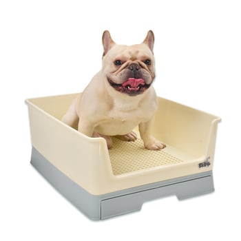 Plastična toalet za pse s ladicom i pregradom protiv prskanja za manje i srednje pasmine — ispljiva posuda. Marka: Troublemaker; Materijal: Plastika; Ovlašteni privatni brend: Da; Uvoz: Ne