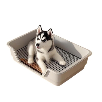 Toaletă pentru câini - ușor de curățat, din plastic, anti-pășire, anti-stropire a urinei