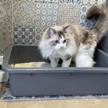 Mačací záchod - úplne otvorený, čiastočne uzavretý dizajn proti špliechaniu, PVC materiál, vhodný pre Rag­doll a Maine Coon