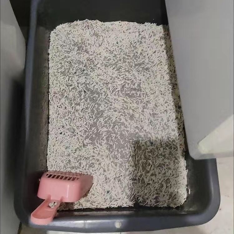 Mačací záchod - úplne otvorený, čiastočne uzavretý dizajn proti špliechaniu, PVC materiál, vhodný pre Rag­doll a Maine Coon