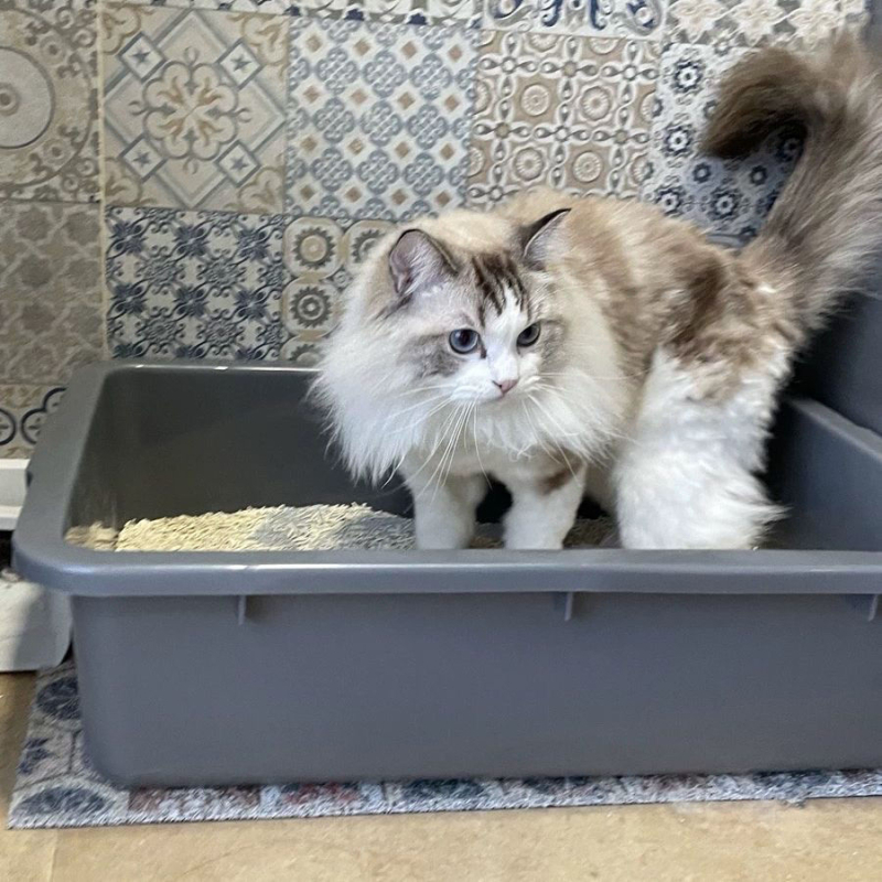 Mačací záchod - úplne otvorený, čiastočne uzavretý dizajn proti špliechaniu, PVC materiál, vhodný pre Rag­doll a Maine Coon